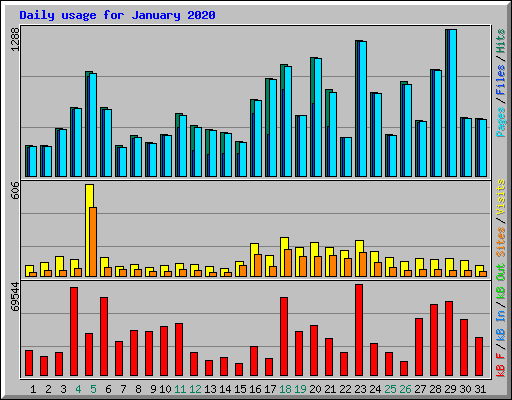 Daily usage for January 2020