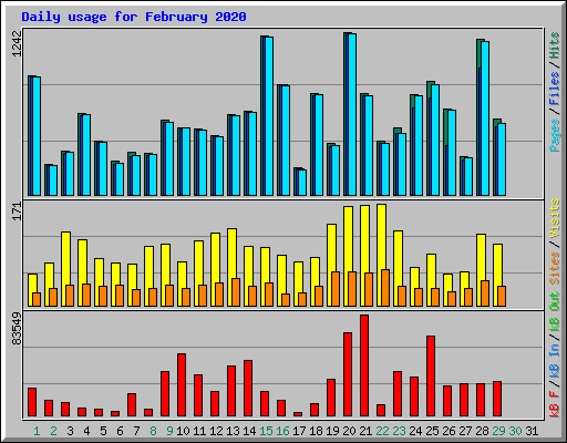 Daily usage for February 2020
