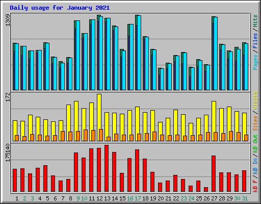 Daily usage for January 2021