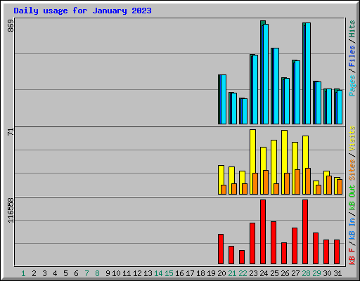Daily usage for January 2023