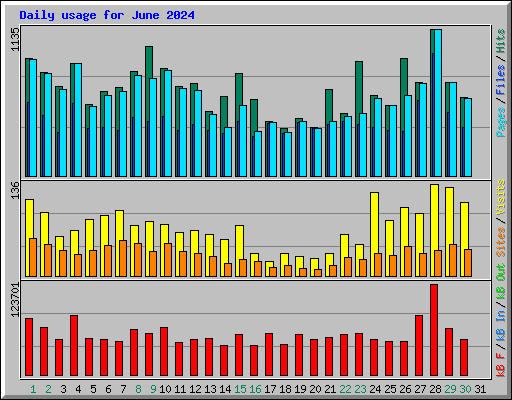 Daily usage for June 2024