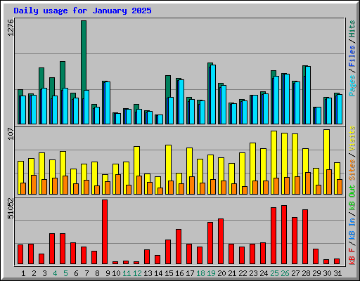 Daily usage for January 2025