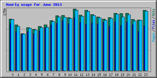 Hourly usage for June 2013