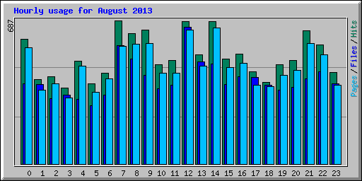Hourly usage for August 2013