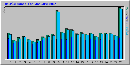 Hourly usage for January 2014