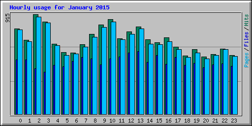 Hourly usage for January 2015