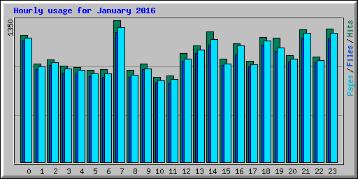 Hourly usage for January 2016