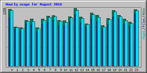 Hourly usage for August 2016