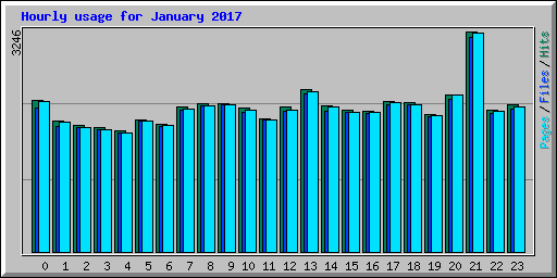 Hourly usage for January 2017