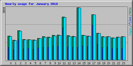 Hourly usage for January 2018