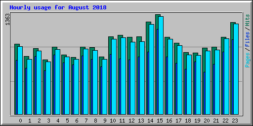 Hourly usage for August 2018