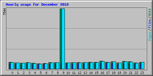 Hourly usage for December 2018