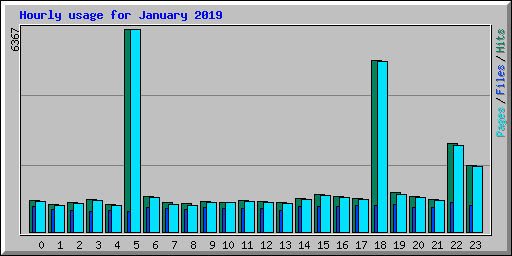 Hourly usage for January 2019
