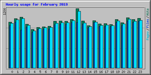 Hourly usage for February 2019