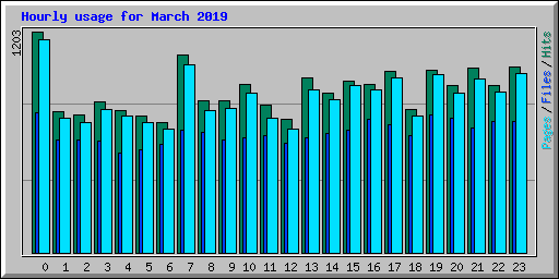 Hourly usage for March 2019