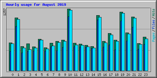 Hourly usage for August 2019