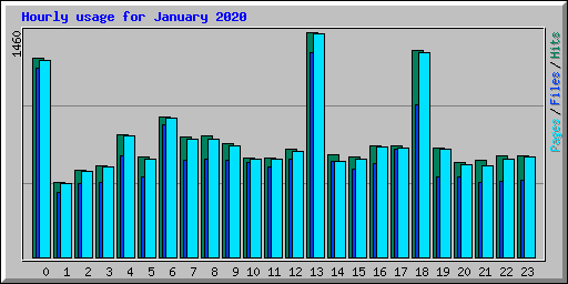 Hourly usage for January 2020