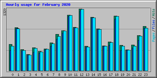 Hourly usage for February 2020