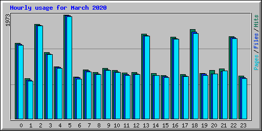 Hourly usage for March 2020