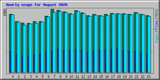 Hourly usage for August 2020