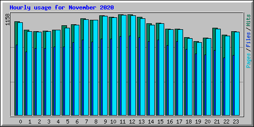 Hourly usage for November 2020