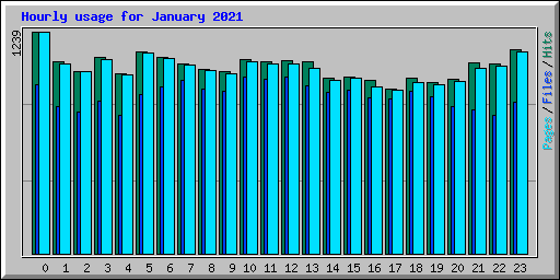 Hourly usage for January 2021