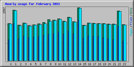 Hourly usage for February 2021