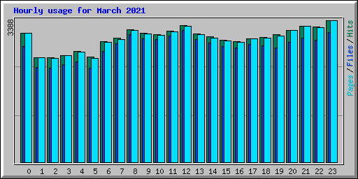 Hourly usage for March 2021