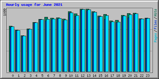 Hourly usage for June 2021