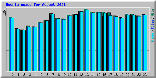 Hourly usage for August 2021