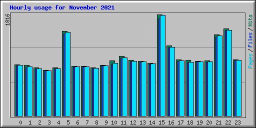 Hourly usage for November 2021