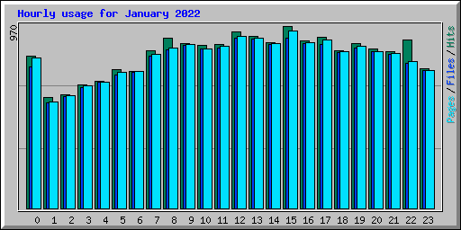 Hourly usage for January 2022