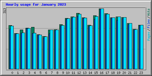 Hourly usage for January 2023