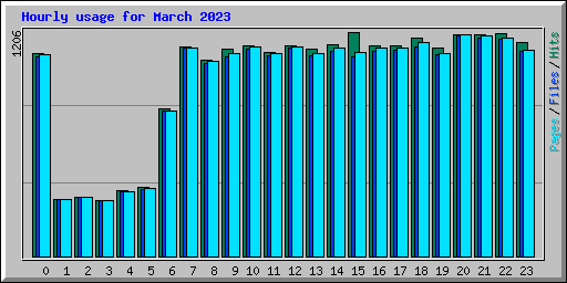 Hourly usage for March 2023