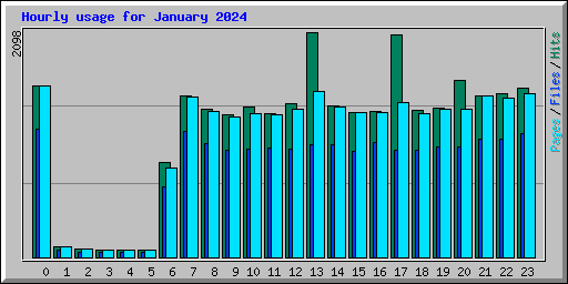 Hourly usage for January 2024