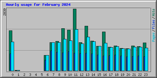 Hourly usage for February 2024