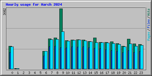 Hourly usage for March 2024