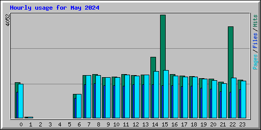 Hourly usage for May 2024