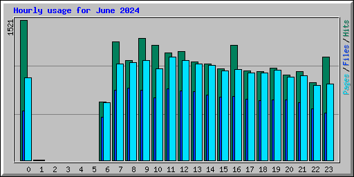 Hourly usage for June 2024
