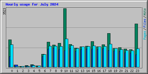 Hourly usage for July 2024