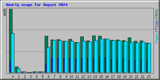 Hourly usage for August 2024