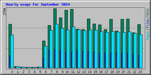 Hourly usage for September 2024