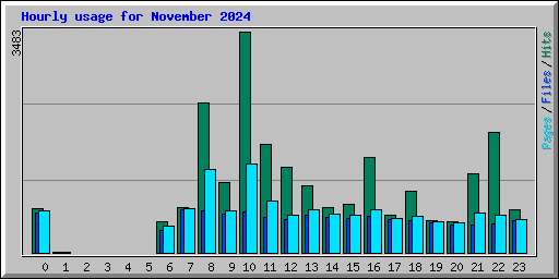 Hourly usage for November 2024