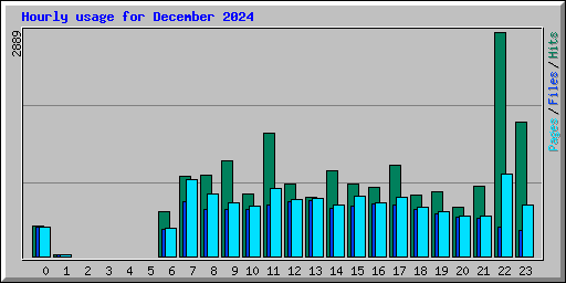 Hourly usage for December 2024