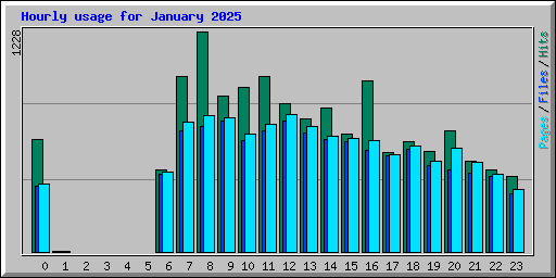 Hourly usage for January 2025