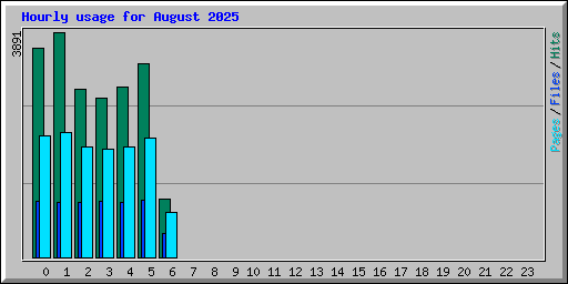Hourly usage for August 2025