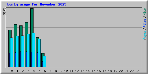 Hourly usage for November 2025