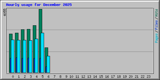 Hourly usage for December 2025