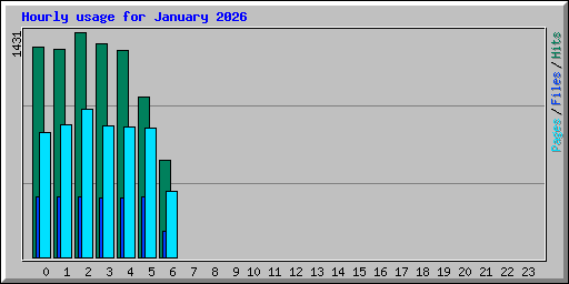 Hourly usage for January 2026